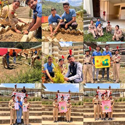 Events & Activities