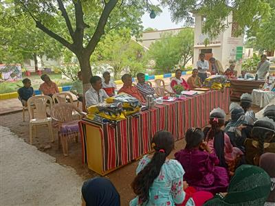 Events & Activities