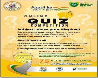 Events & Activities