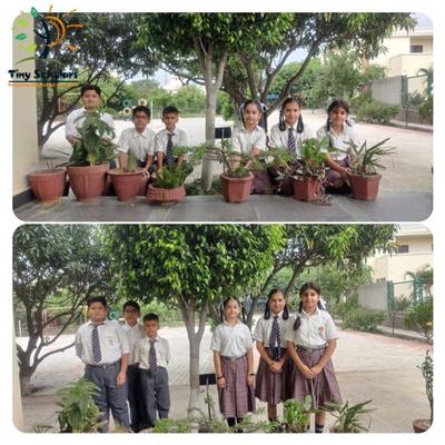 Events & Activities