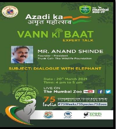 Events & Activities