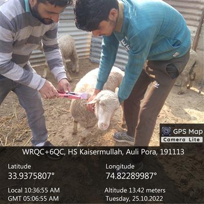 Events & Activities