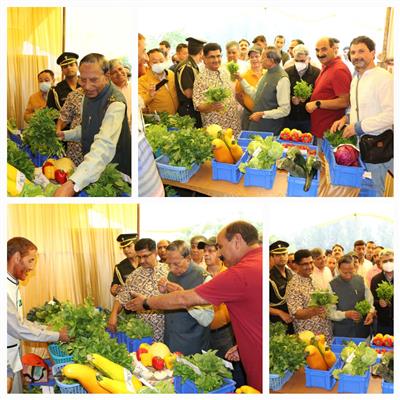 Events & Activities