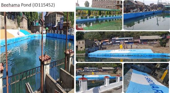 Events & Activities