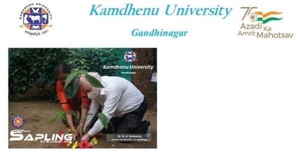 Events & Activities