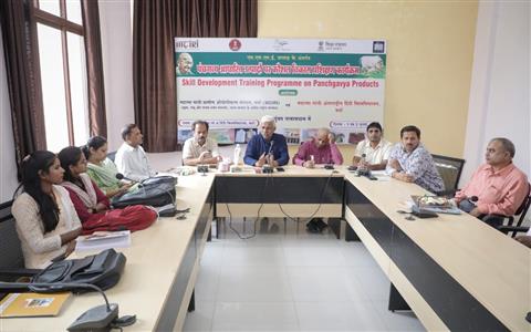 Events & Activities