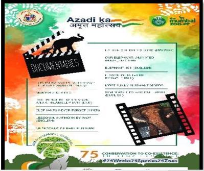 Events & Activities
