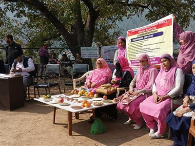 Events & Activities