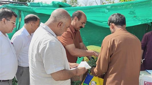 Events & Activities