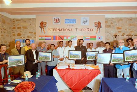 Events & Activities