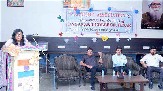 Events & Activities