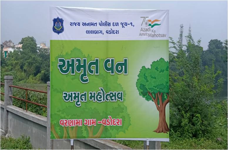 Events & Activities