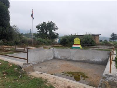 Events & Activities