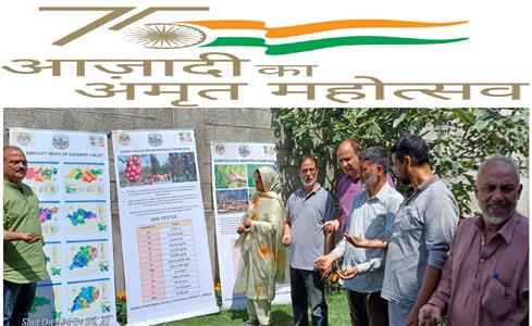 Events & Activities