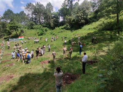 Events & Activities
