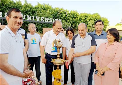 Events & Activities