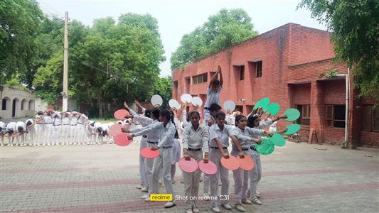 Events & Activities