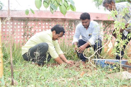 Events & Activities