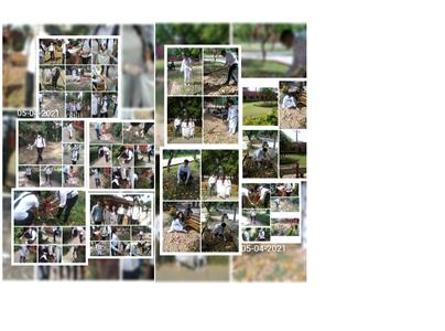 Events & Activities