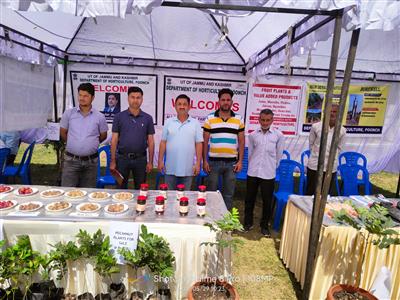 Events & Activities