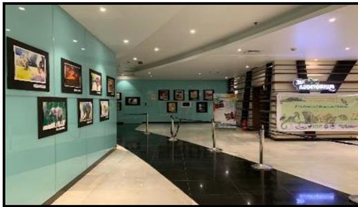 Events & Activities