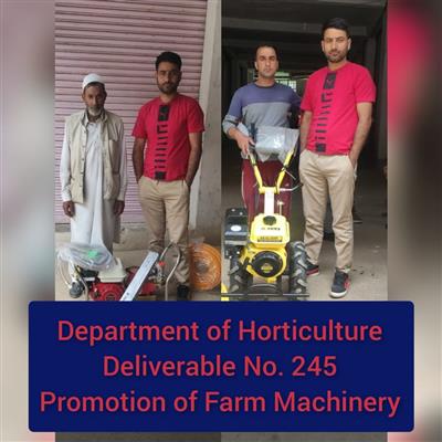 Events & Activities