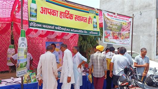Events & Activities