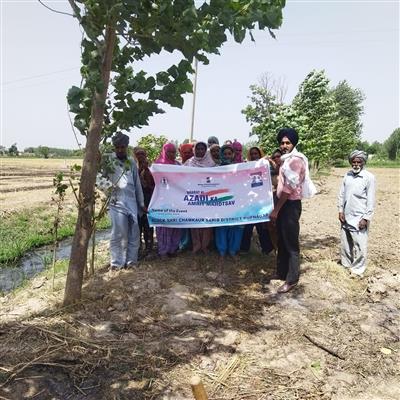Events & Activities