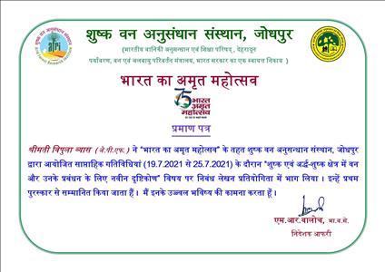 Events & Activities