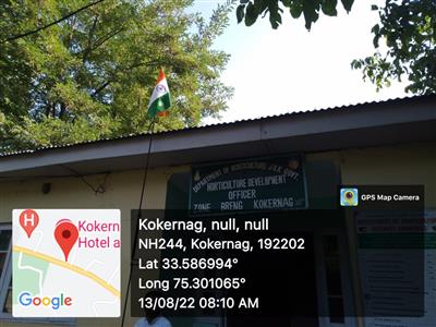 Events & Activities