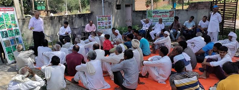 Events & Activities