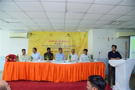 Events & Activities