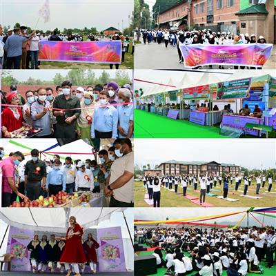 Events & Activities