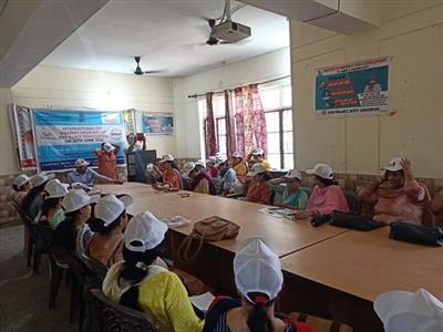 Events & Activities