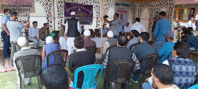 Events & Activities