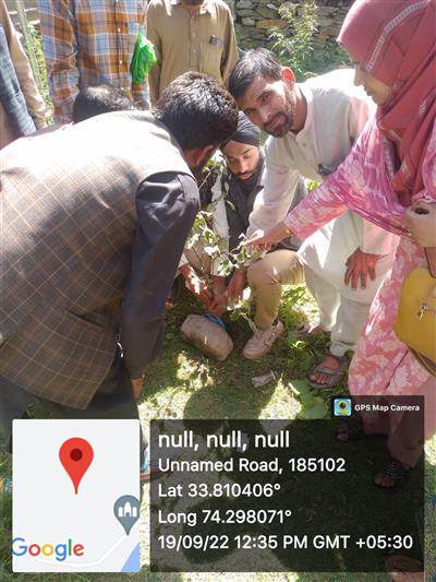 Events & Activities
