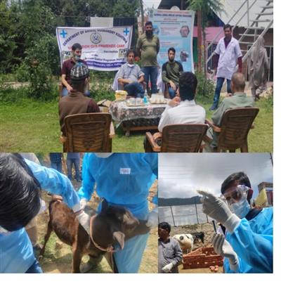 Events & Activities