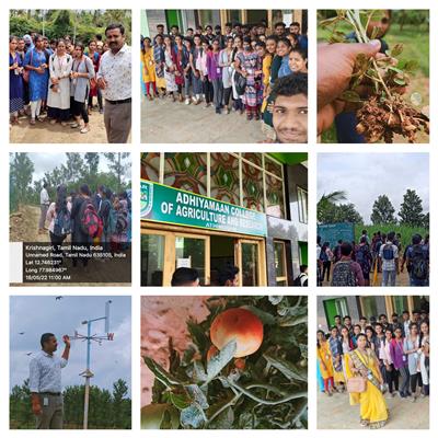 Events & Activities