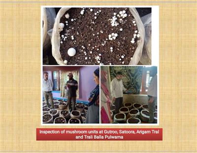 Events & Activities