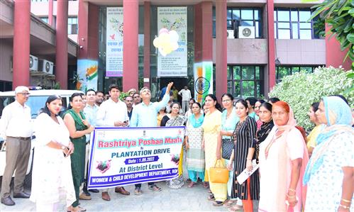 Events & Activities