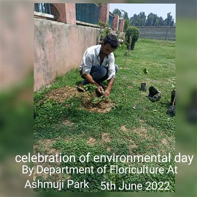 Events & Activities