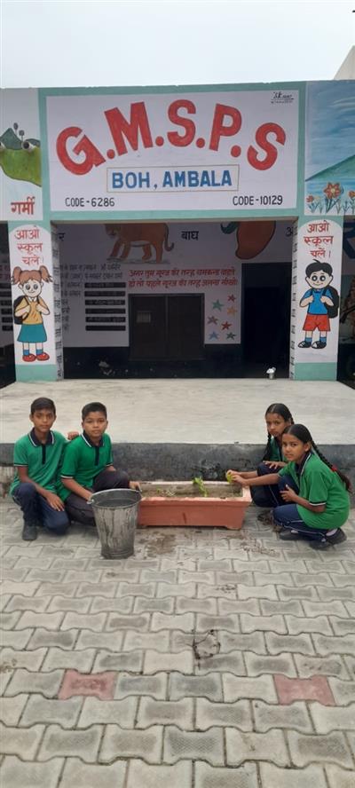 Events & Activities