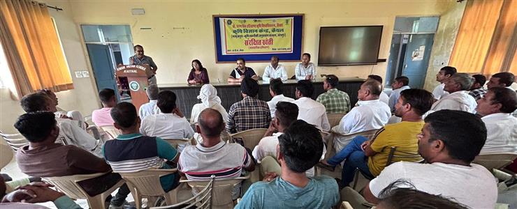 Events & Activities