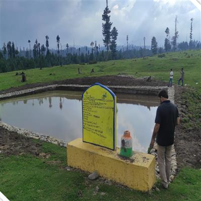 Events & Activities