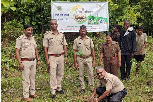 Tree Plantation