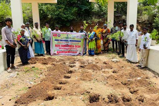 Tree Plantation