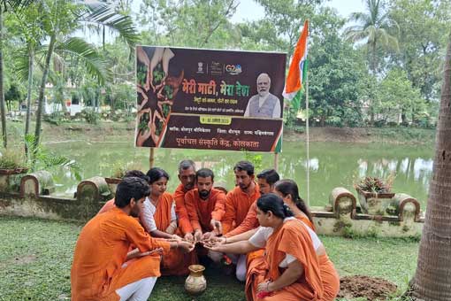 Tree Plantation