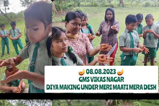 Tree Plantation