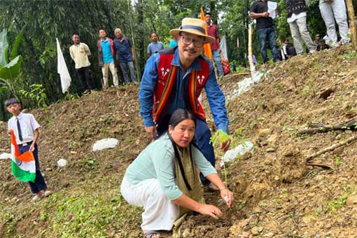 Tree Plantation