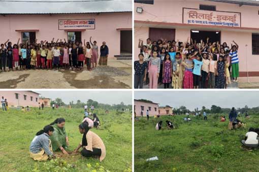 Tree Plantation